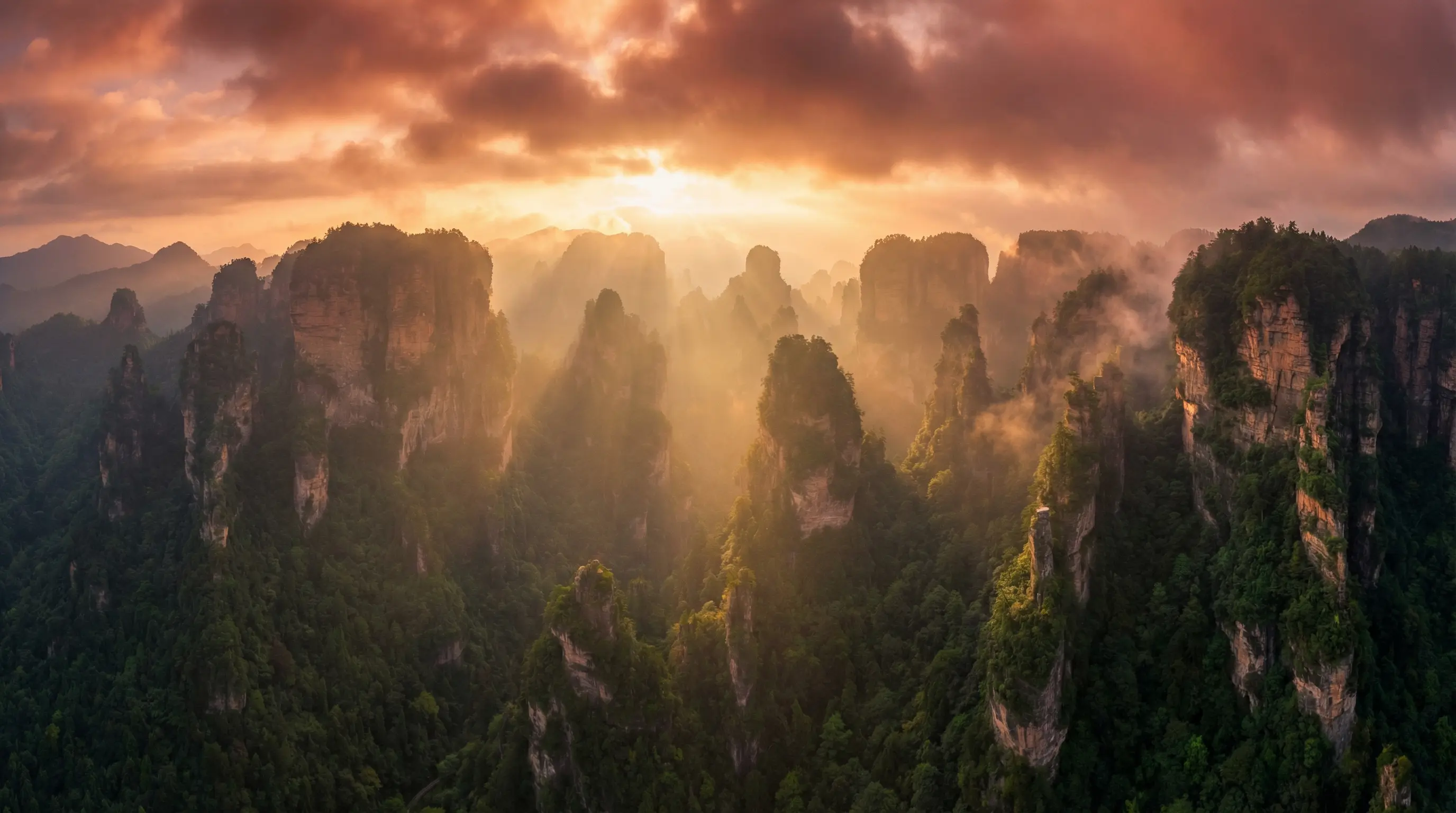 温暖的抱抱电影 自然风光视频封面